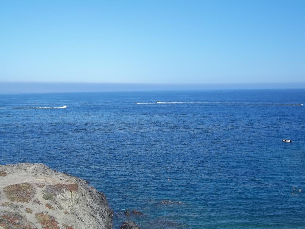 Portvendres Sea View Apartment Port Vendres ภายนอก รูปภาพ