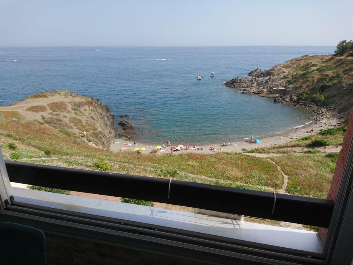 Portvendres Sea View Apartment Port Vendres ภายนอก รูปภาพ