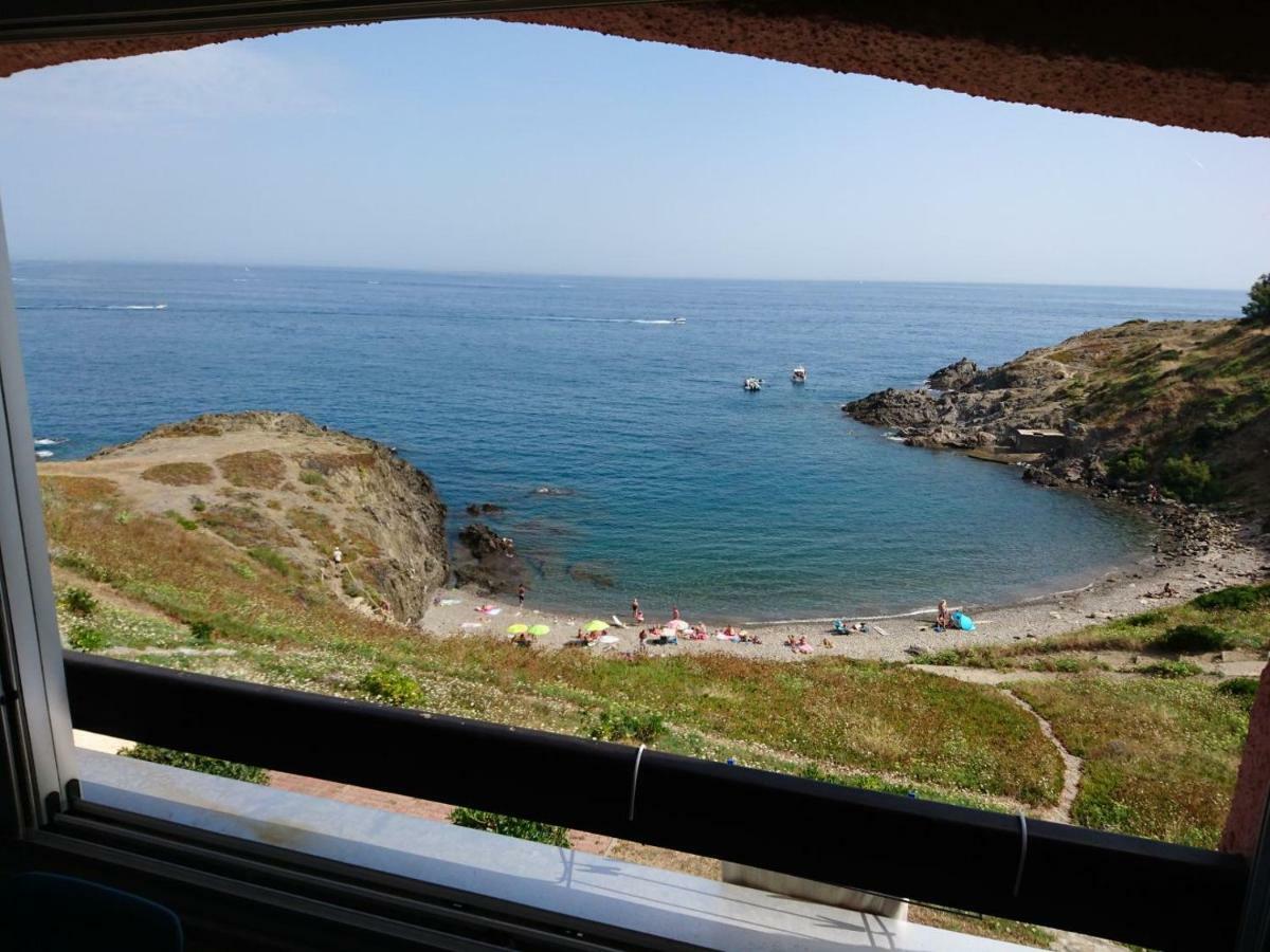 Portvendres Sea View Apartment Port Vendres ภายนอก รูปภาพ